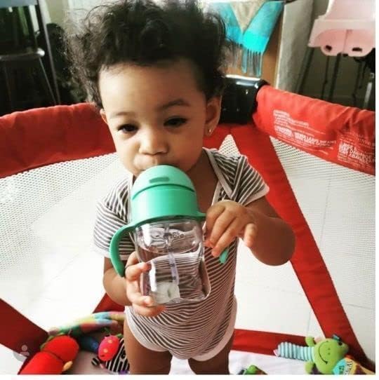 Evorie Tritan 7 Oz Weighted Straw Sippy Cup for Baby and 10 Oz Toddler Bottle with Straw and Removable Handles for School (Bumble Bee and Happy Valley)
