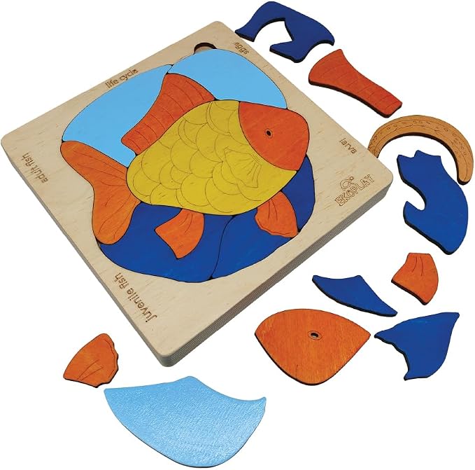 Life Cycle of A Fish | 20 Piece Wooden Multilayered Jigsaw Puzzles for Kids | Educational Toy and Gift for Boys & Girls 3 Years and Above