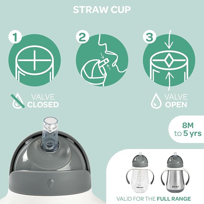 Beaba Straw Sippy Cup, Toddler Baby Straw Cup with Removable Handles, Leak and Spill Proof, BPA Phthalate Free, 8+ months, 10 oz, (Rose)