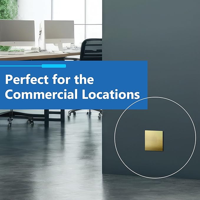 LIDER Double Blank Screwless Metal-Surface Wall Plate, Temperature and Impact Resistant, Stainless Steel, Modern Decoration Upgrade, Mid-Size 2-Gang 4.88??x 4.92?? Brushed Brass