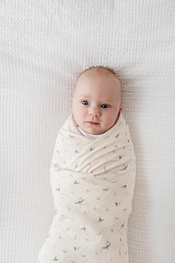 Ely's & Co. Muslin Swaddle Blanket 1-Pack for Baby Boy/Girl, 100% Cotton Muslin Extra Large Swaddle Receiving Blanket, 47?�x47??(Sage Bird)