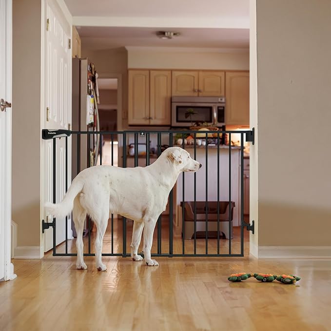 Babelio 31.5-55" No Bottom Bar Baby Gate Extra Wide, 2-in-1 Auto Close Dog Gate for The House, Stairs and Doorways, with Large Walk Thru Door, Black