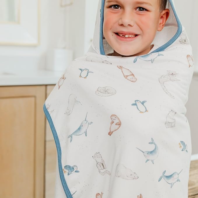 Copper Pearl Arctic Wonder Premium Big Kid Hooded Towel
