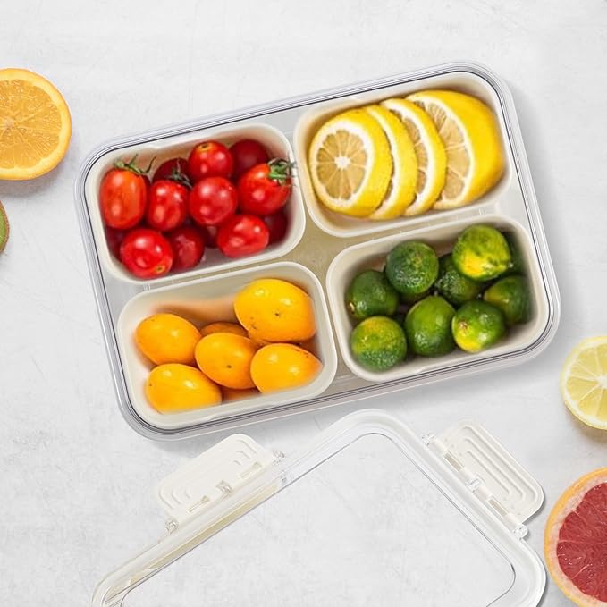 2 Pack Divided Serving Tray with Lid and Handle, Snackle Box Container mit 4 Compartments Clear Serving Platters and Trays,Snack Platters for Veggie Fruits Snacks Nuts, for Picnic Party Travel