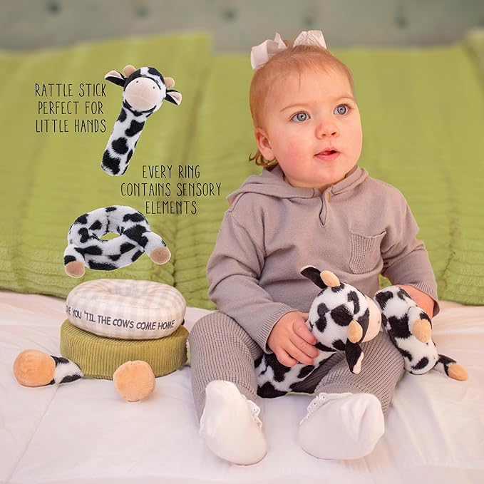 Stephen Joseph, Stacking and Nesting Plush, Stuffed Animal Baby Stacking Rings Learning Toy, Baby Sensory Developmental Toy Rattles, 4- Piece Set