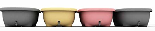 Prince Lionheart TUBIMAL Infant and Toddler Bath Tub - DOG | Tub Becomes a Storage Bin | Include a Stackable Lid and Infant Mesh Hammock | Innovative Outside Drain Plug | Perfect Bin for Toy Storage