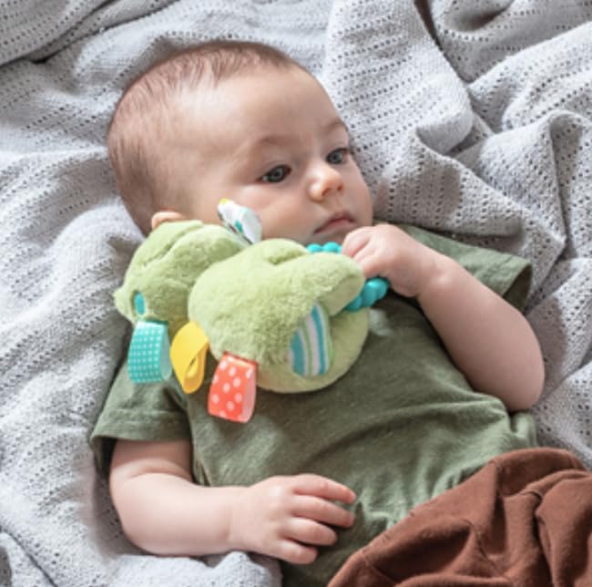 Taggies Soft Baby Rattle with Soothing Teether Ring and Sensory Tags, 6-Inches, Green Peepers Frog