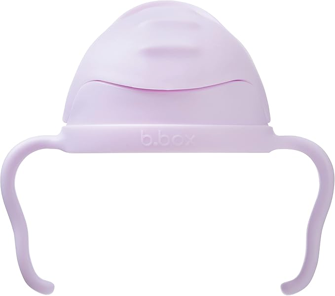 b.box Sippy Cup with Fliptop Straw, Drink from any Angle | Weighted Straw, Spill Proof, Leak Proof & Easy Grip | BPA Free, Dishwasher safe | For Babies 6m+ to Toddlers (Boysenberry, 8 oz)
