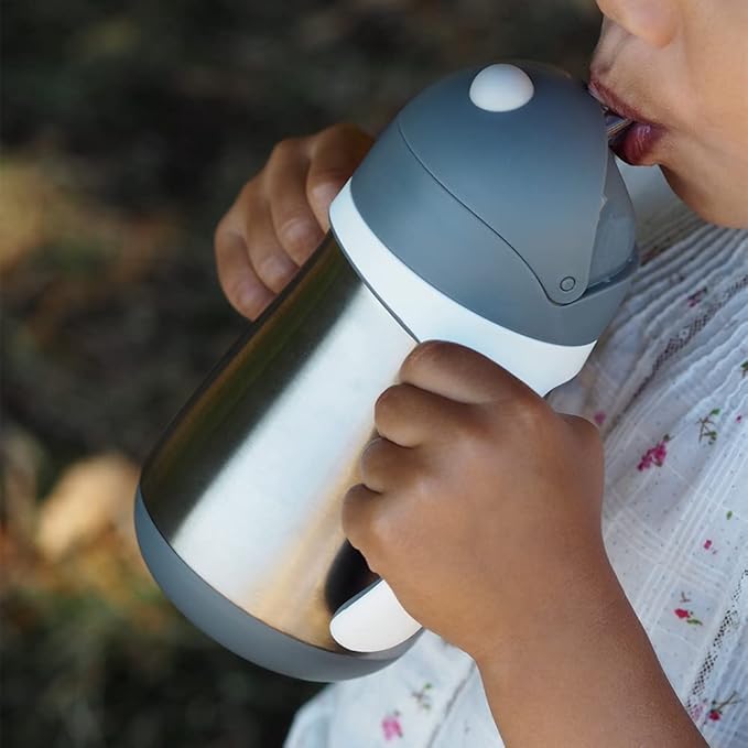 BEABA Stainless Steel Straw Sippy Cup, Insulated Toddler Cups Spill Proof with Removable Handles, Made with High Grade Stainless Steel, 8+ months, 8.5 oz, Charcoal