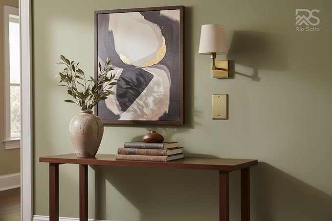 Rio Salto BRASS Signature Collection Antique Gold Blank Wall Plate STANDARD SIZE Metal Blank Outlet Cover for Unused Outlets Covers Child Safe Device Outlet Safety Vintage MATTE (Blank, 1-Gang)