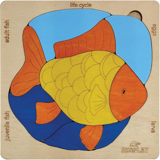 Life Cycle of A Fish | 20 Piece Wooden Multilayered Jigsaw Puzzles for Kids | Educational Toy and Gift for Boys & Girls 3 Years and Above
