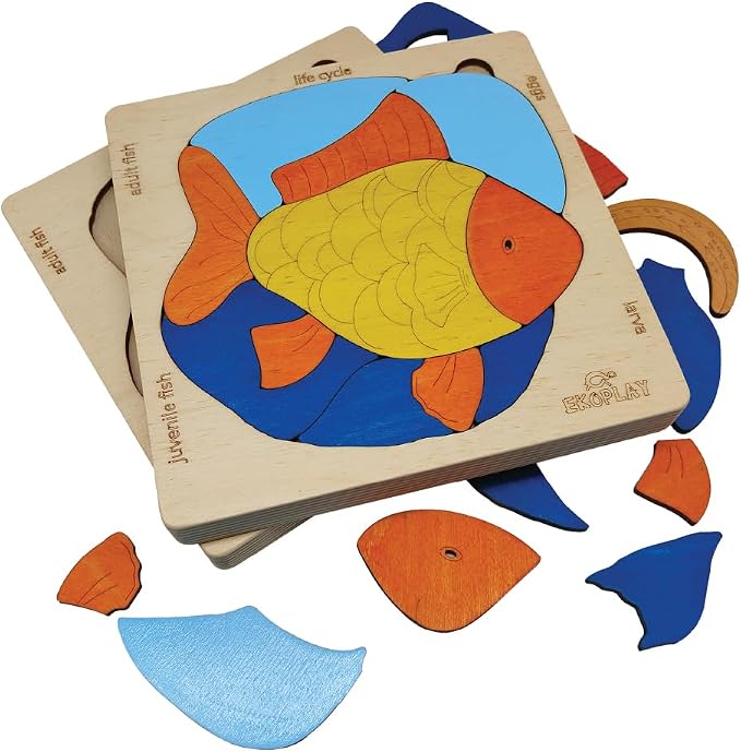 Life Cycle of A Fish | 20 Piece Wooden Multilayered Jigsaw Puzzles for Kids | Educational Toy and Gift for Boys & Girls 3 Years and Above