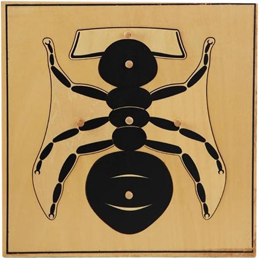 Montessori Knob Wooden Puzzles, Ants | 3D Puzzle Panel, Preschool, Infant, Kindergarten