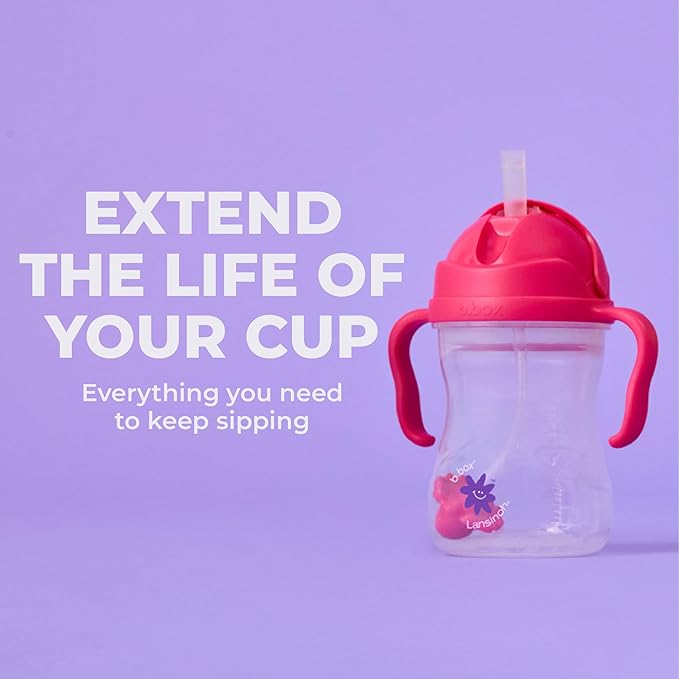 Lansinoh b.box Sippy Cup Replacement Straw Pack | Includes 1 Cleaning Brush, 1 Standard and 1 Weighted Straw, | Fits Sippy Cups