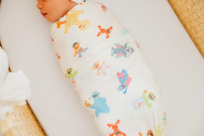 Copper Pearl Baby Swaddle Blanket - Premium Knit Baby Blanket, Large Soft Stretchy Receiving Blankets for Baby Boy and Girl, Swaddles for Newborn, Infant, and Toddler (Sesame Friends)