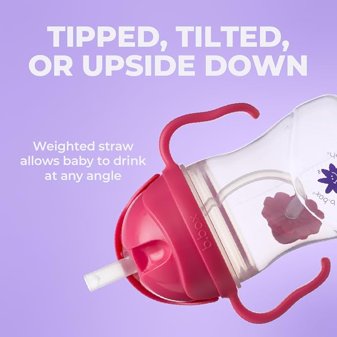Lansinoh b.box Weighted Straw Sippy Cup for Babies 6 Months+ | Leak?‘Proof, BPA?‘Free, 8 oz Toddler Cup | Drink From Any Angle | Easy Grip, Dishwasher Safe | Pistachio