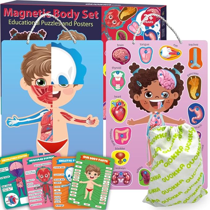 QUOKKA Magnetic Puzzles for Kids – Montessori Puzzles for Toddlers 3-5 – Preschool Game Learning Human Body Parts Anatomy Skeleton – Educational Toys for Boy & Girl