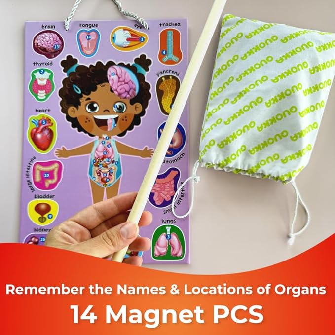 QUOKKA Magnetic Puzzles for Kids – Montessori Puzzles for Toddlers 3-5 – Preschool Game Learning Human Body Parts Anatomy Skeleton – Educational Toys for Boy & Girl
