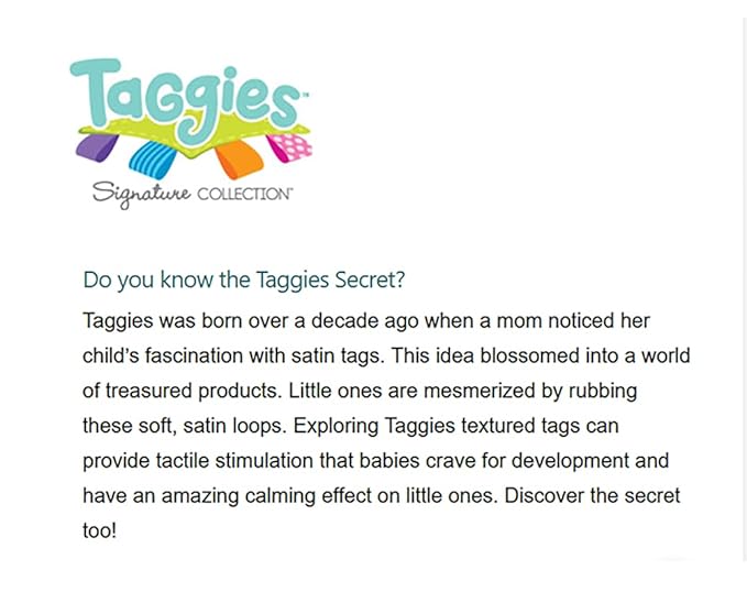 Taggies Embroidered Soft Ring Rattle