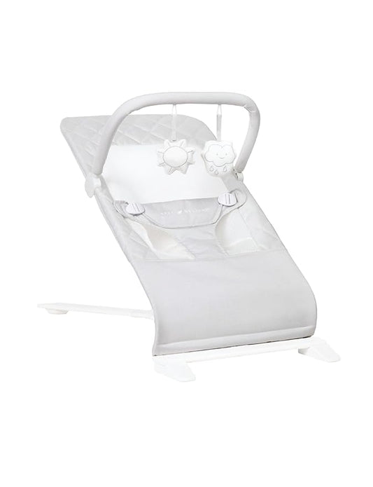 Baby Delight Alpine Deluxe Portable Bouncer | Infant | 0 – 6 Months | Driftwood Grey