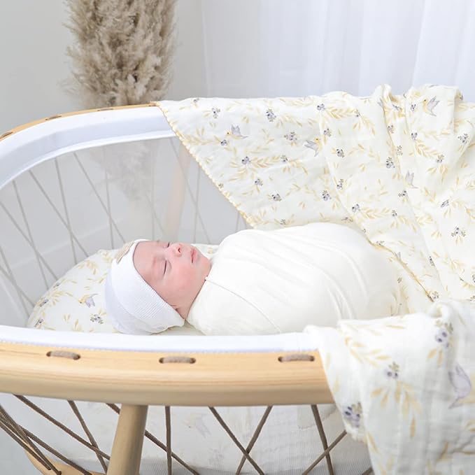 Ladore Baby Gifts Swaddle Blanket & Cloth Set (Vine/Boys)