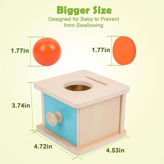 Adena Montessori Coin Box, 2 in 1 Object Permanence Box with Ball, Wooden Ball Drop Toys for 6-12 Month Infants, Developmental Learning Toys for 1 Year Old Baby, Kids Gifts (Blue Door)
