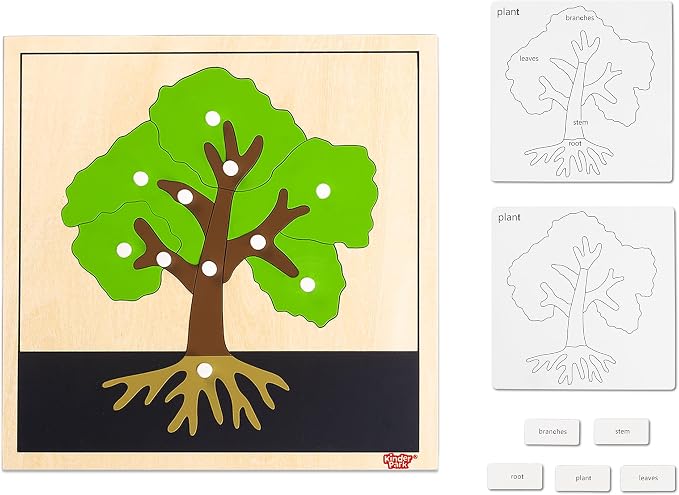 Montessori Tree Puzzle for 3+ Years Old, Wooden Peg Puzzles with Knobs & Practice Cards, Shape Sorter Puzzle Preschool Learning Resources, Fine Moter Toys for Montessori Classroom