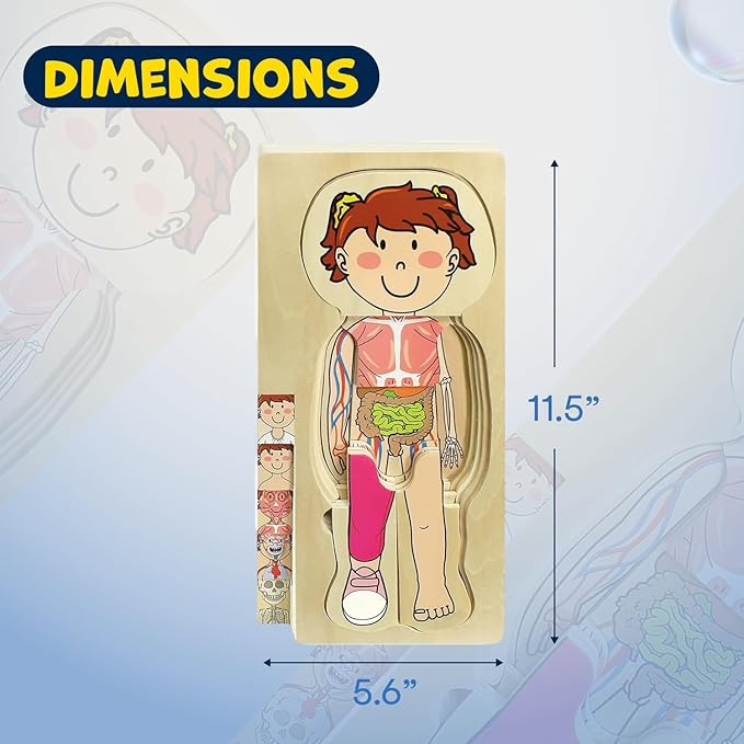 Kidzlane 29 Piece Wooden Puzzle for Toddlers and Kids - Boy Anatomy Puzzle Play Set - Layered Human Anatomy Kid Puzzles - My Body Preschool Game, Montessori Skeleton Toy - Human Body Model for Kids