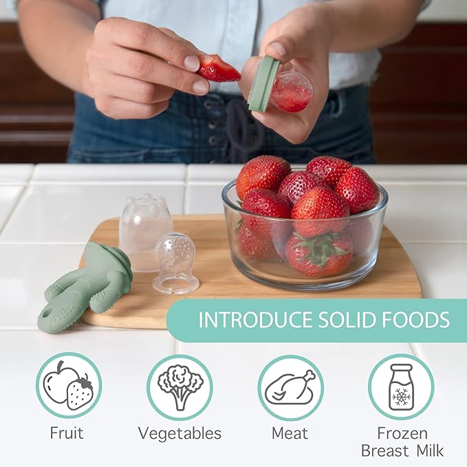 Little Twig Baby Fruit Feeder Pacifier & Teether Set ??Silicone Baby Food Feeder with Freezer Tray, BPA Free Teething Toy for Infants, Breast Milk Pops, Fruit & Puree Feeder, Baby Led Weaning Kit