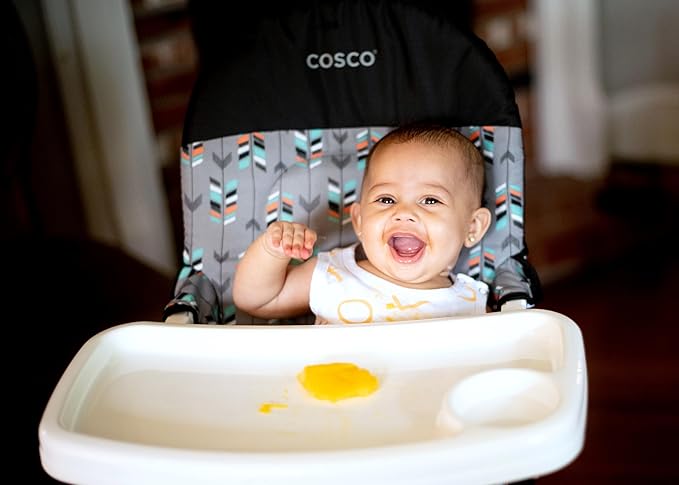 Cosco Kids Highchair for Baby, Simple Foldable High Chair, Convenient, Lightweight, and Compact Design, Posey Pop