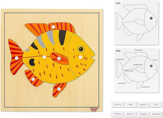 Montessori Puzzles Fish Puzzle for Kids, Wooden Puzzle with Knobs, Parts of The Fish Toys for 3-6 Years Old Toddlers, Montessori Learning Toys Fine Motor 3 4 5 Years Old Classroom