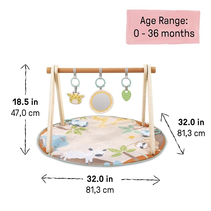Ingenuity Wonder & Wood Baby Play Mat, Play Gym for Baby, Foldable A-Frame Bar, Machine-Washable Mat, for Ages 0-36 Months