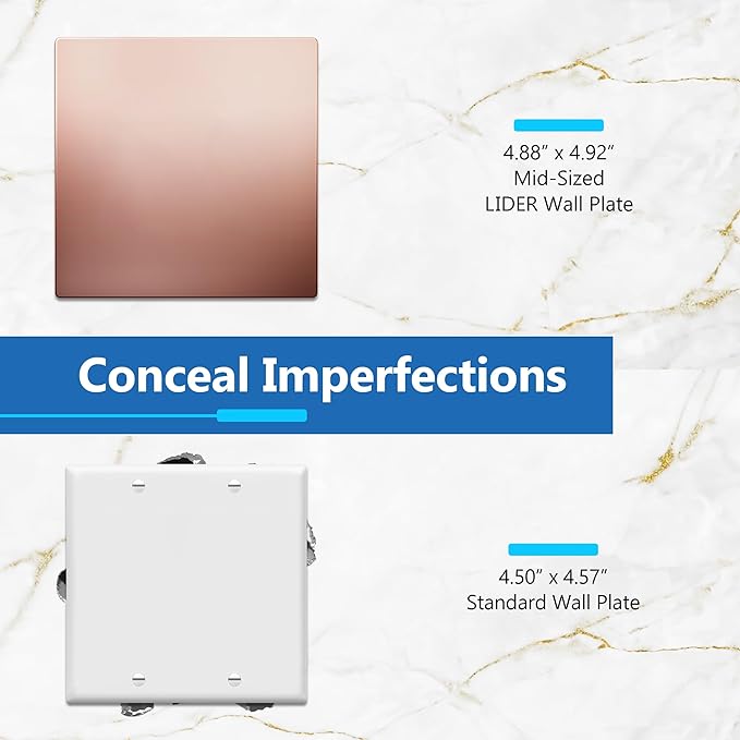 LIDER Double Blank Screwless Metal-Surface Wall Plate, Temperature and Impact Resistant, Stainless Steel, Modern Decoration Upgrade, Mid-Size 2-Gang 4.88??x 4.92?? Polished Rose Gold