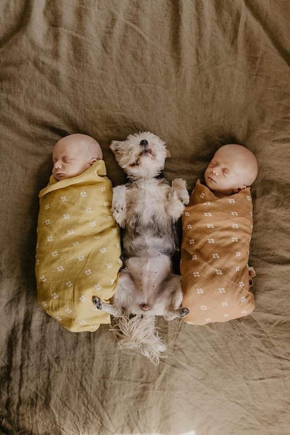 Mini Wander Swaddles for Newborns Muslin Swaddle Blankets - Breathable Soft Gender Neutral Receiving Blanket Baby Essentials | 47 x 47 Cotton - Boho Squares (Coconut)