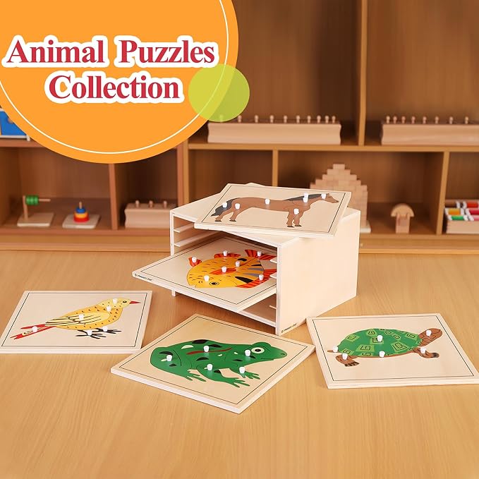 Montessori Wooden Turtle Puzzle for Kids Ages 3-6 – Educational Shape Sorting Toy for Preschool Learning, Fine Motor Skills & Problem Solving | Safe Toddler Puzzle for Home & Classroom (7-Pieces)