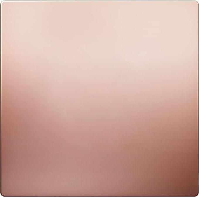 LIDER Double Blank Screwless Metal-Surface Wall Plate, Temperature and Impact Resistant, Stainless Steel, Modern Decoration Upgrade, Mid-Size 2-Gang 4.88??x 4.92?? Polished Rose Gold