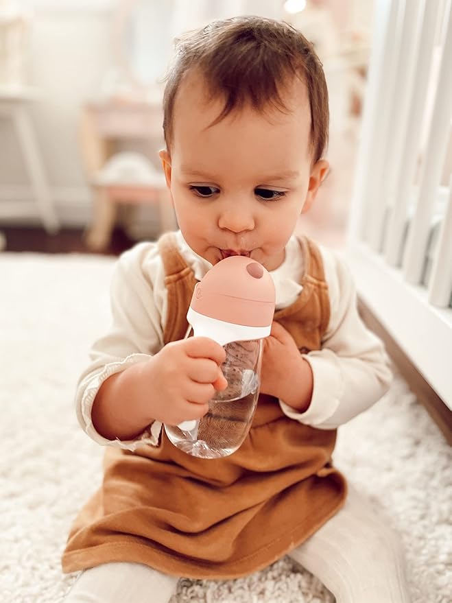 Beaba Straw Sippy Cup, Toddler Baby Straw Cup with Removable Handles, Leak and Spill Proof, BPA Phthalate Free, 8+ months, 10 oz, (Rose)