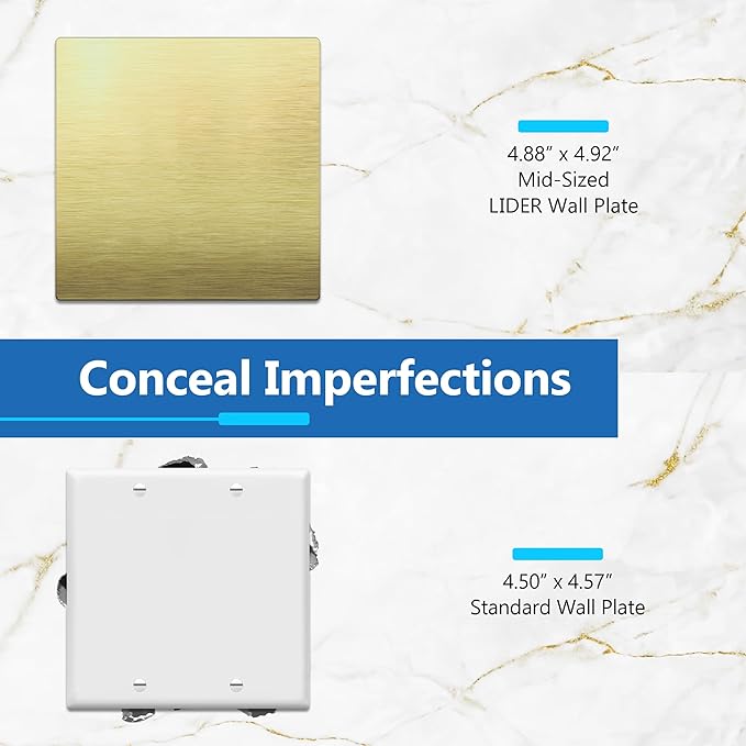 LIDER Double Blank Screwless Metal-Surface Wall Plate, Temperature and Impact Resistant, Stainless Steel, Modern Decoration Upgrade, Mid-Size 2-Gang 4.88??x 4.92?? Brushed Brass