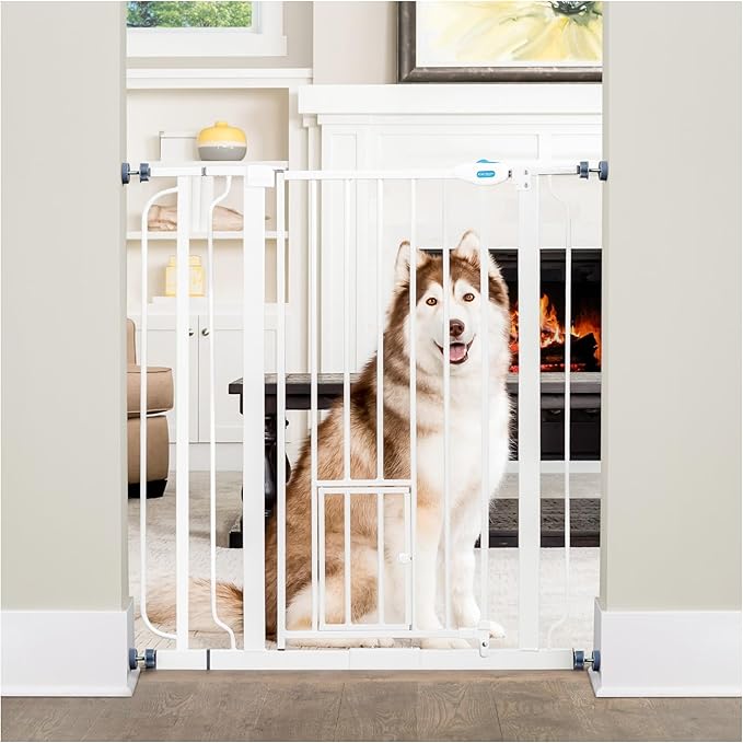 Carlson 36" Extra Tall Walk Through Dog Gate for Doorways & Bottom of Stairs, Metal Pet Gate with Small Pet Door, Expands 29.5?�â€?6.5?? White