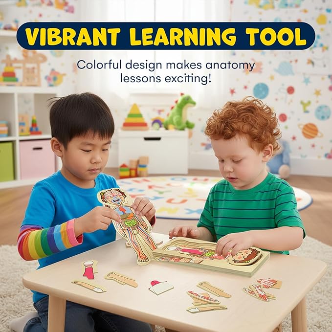 Kidzlane 29 Piece Wooden Puzzle for Toddlers and Kids - Boy Anatomy Puzzle Play Set - Layered Human Anatomy Kid Puzzles - My Body Preschool Game, Montessori Skeleton Toy - Human Body Model for Kids