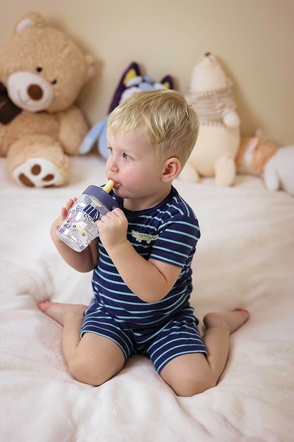 Zak Designs Bluey Capri Toddler Tumbler For Travel or At Home, 10oz 2-Pack Durable Plastic Sippy Cups With Handle and Leak-Proof Design are Perfect For Kids (Bluey and Bingo)