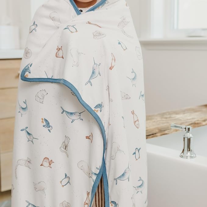 Copper Pearl Arctic Wonder Premium Big Kid Hooded Towel