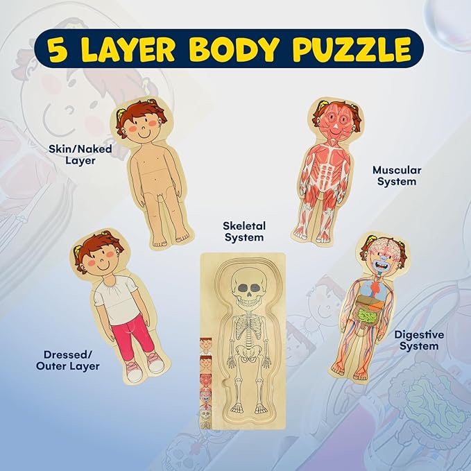 Kidzlane 29 Piece Wooden Puzzle for Toddlers and Kids - Boy Anatomy Puzzle Play Set - Layered Human Anatomy Kid Puzzles - My Body Preschool Game, Montessori Skeleton Toy - Human Body Model for Kids
