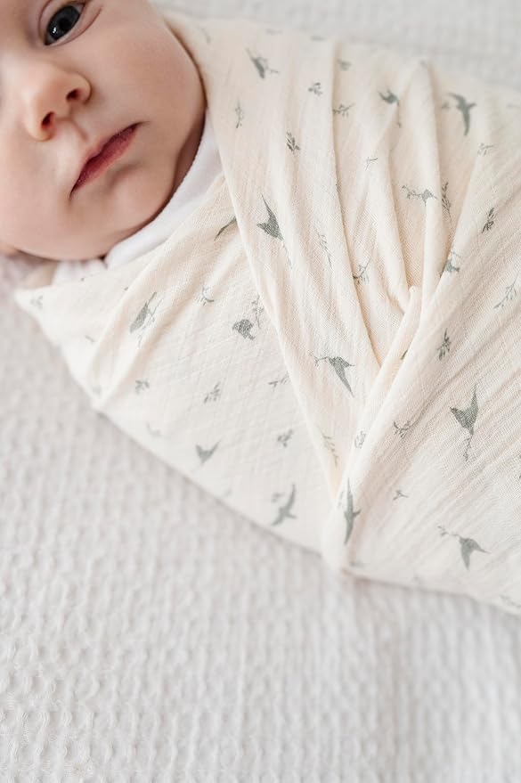 Ely's & Co. Muslin Swaddle Blanket 1-Pack for Baby Boy/Girl, 100% Cotton Muslin Extra Large Swaddle Receiving Blanket, 47?�x47??(Sage Bird)