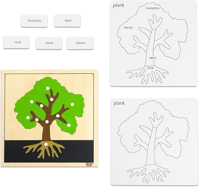 Montessori Tree Puzzle for 3+ Years Old, Wooden Peg Puzzles with Knobs & Practice Cards, Shape Sorter Puzzle Preschool Learning Resources, Fine Moter Toys for Montessori Classroom