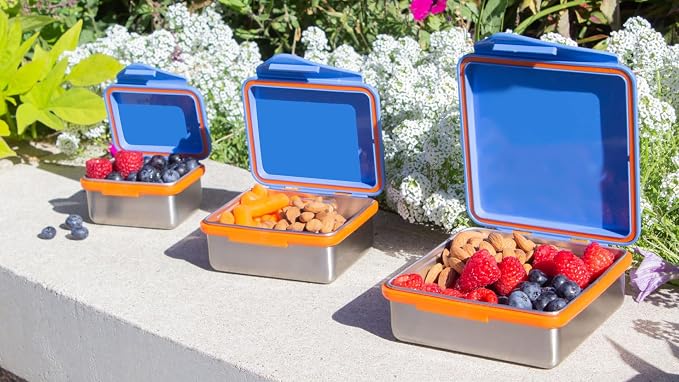 New Wave Enviro Safe Snacker, Stainless Steel Food Container, BPA Free, Stackable and Cabinet Friendly, Blue, Large Size, 23oz. Capacity