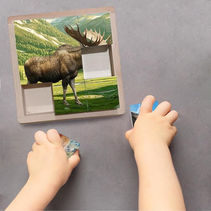 Wooden Cube Puzzle of Native North American Animals | Wooden Puzzles for Kids & Toddlers Ages 3 4 5 6 7 8