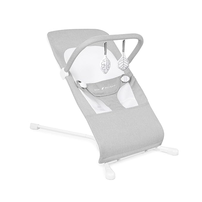 Baby Delight Highland Baby Bouncer | Infant | 0 – 6 Months | 3-Position Recline | Pebble Grey