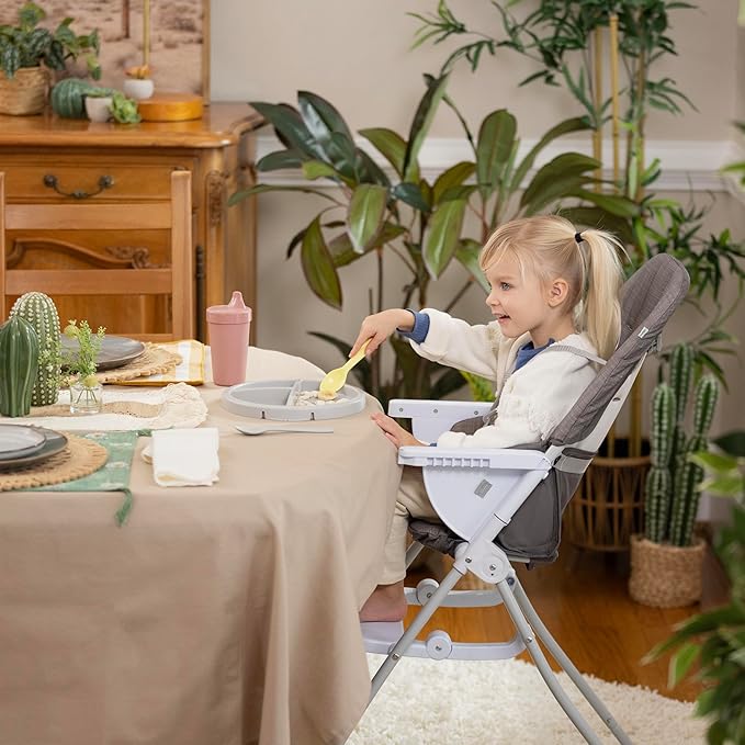 Ingenuity: ity by Ingenuity Sun Valley Compact Folding High Chair, Food-Grade Safe Plate, Safety Harness, for Ages 6 Months and Up, Unisex - Grey