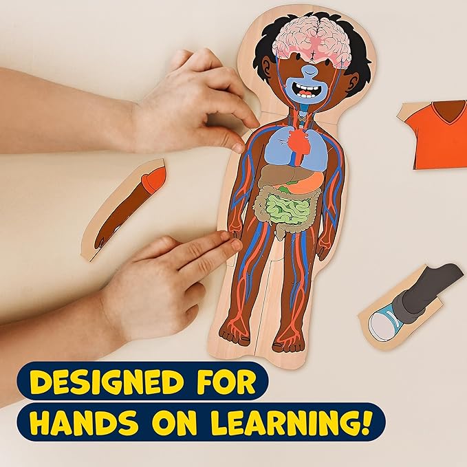 Kidzlane African American Boy Wooden My Body Puzzle for Toddlers - 29 Piece Girls Anatomy Puzzle Kid Play Set - Anatomy for Kids, Skeleton Toys for Kids Ages 3 Plus